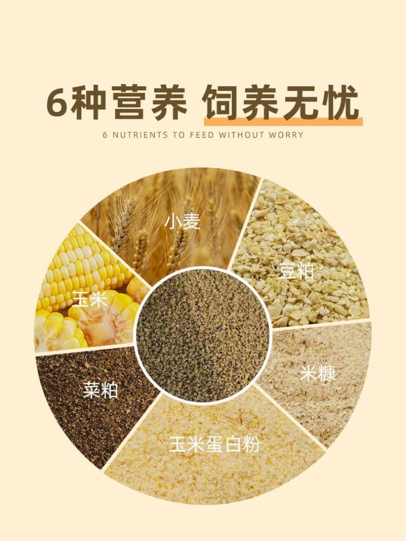 豆粕饲料小猪开口育肥猪颗粒饲料中大猪母猪育肥喂育肥全价