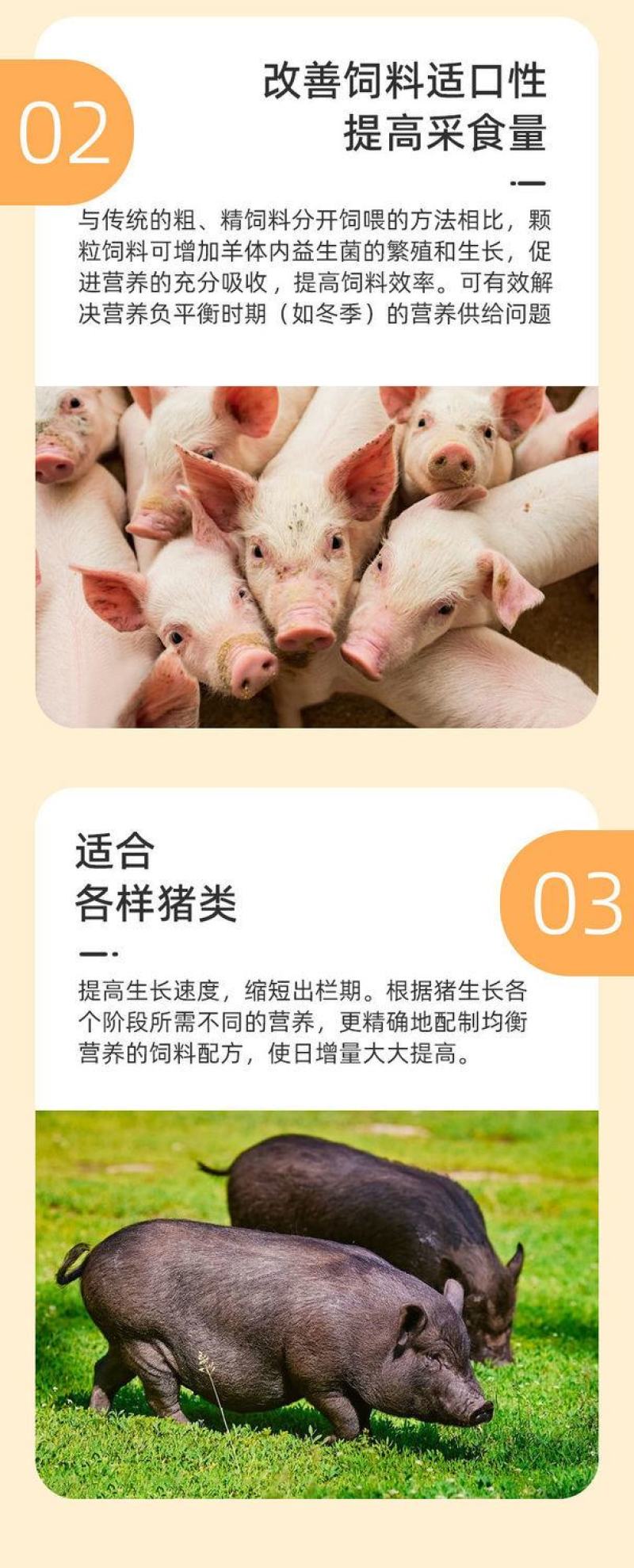 豆粕饲料小猪开口育肥猪颗粒饲料中大猪母猪育肥喂育肥全价