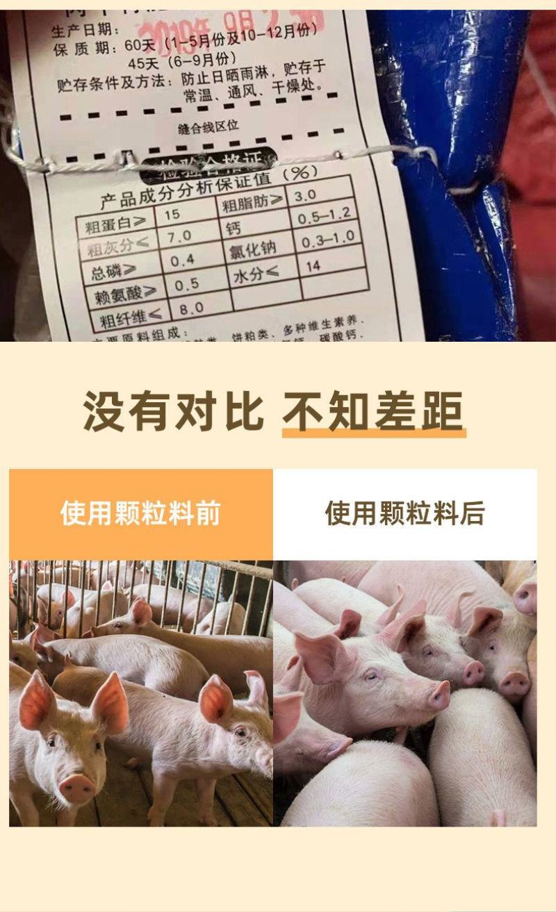 豆粕饲料小猪开口育肥猪颗粒饲料中大猪母猪育肥喂育肥全价