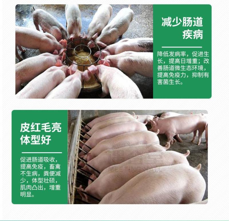 兽用催肥剂猛长增肥猪用快速增重强力生长素牛羊催长肥壮素添
