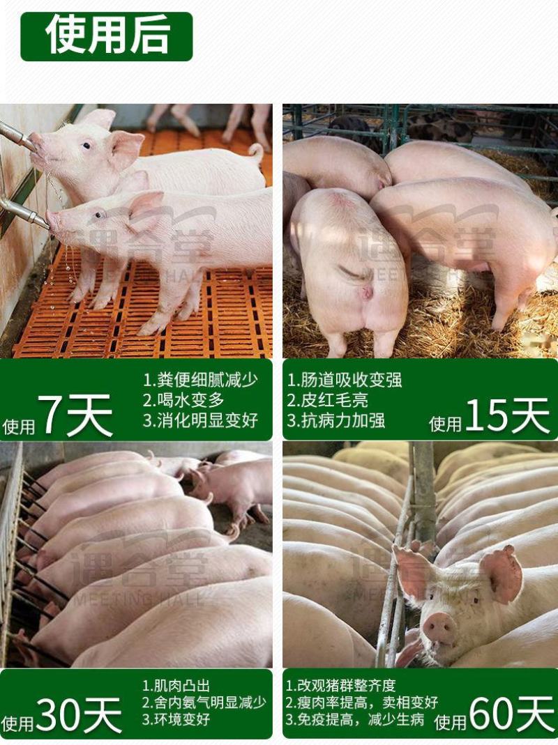 兽用催肥剂猛长增肥猪用快速增重强力生长素牛羊催长肥壮素添