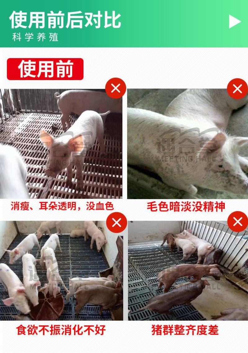 兽用催肥剂猛长增肥猪用快速增重强力生长素牛羊催长肥壮素添
