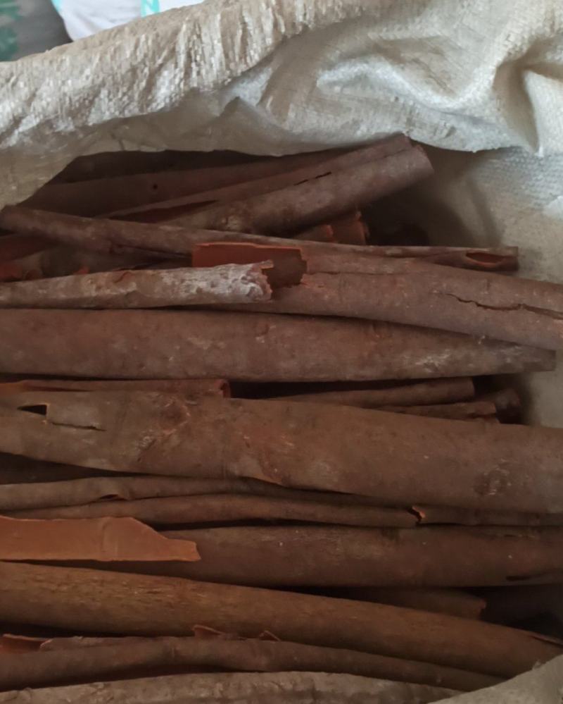 各种规格肉桂质量保证量大从优