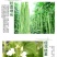 豆满藤钼元素加强型桶装水溶肥冲施肥豆类专用肥增花多荚嫩直