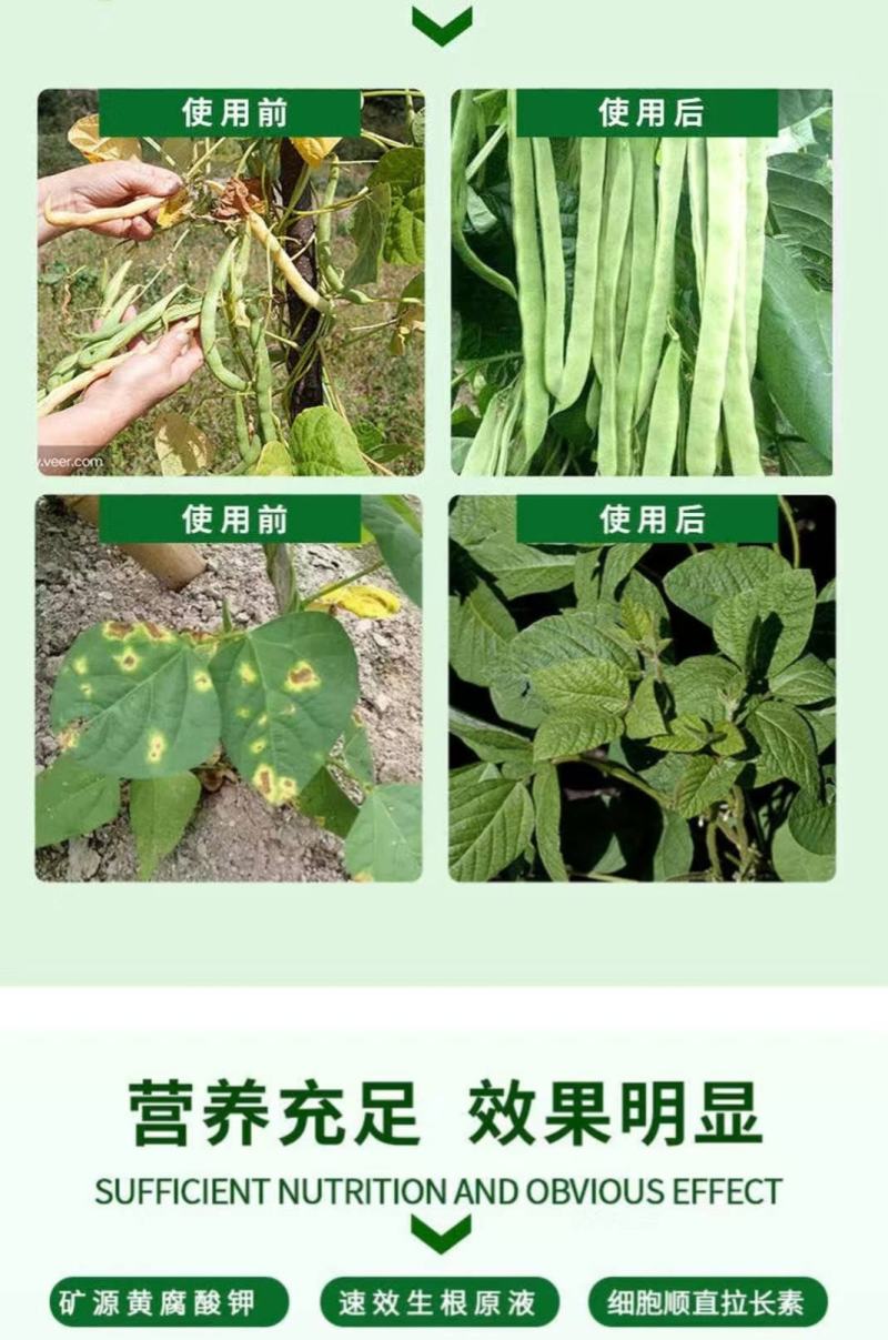 豆满藤钼元素加强型桶装水溶肥冲施肥豆类专用肥增花多荚嫩直