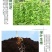 豆满藤钼元素加强型桶装水溶肥冲施肥豆类专用肥增花多荚嫩直