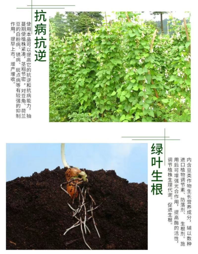 豆满藤钼元素加强型桶装水溶肥冲施肥豆类专用肥增花多荚嫩直