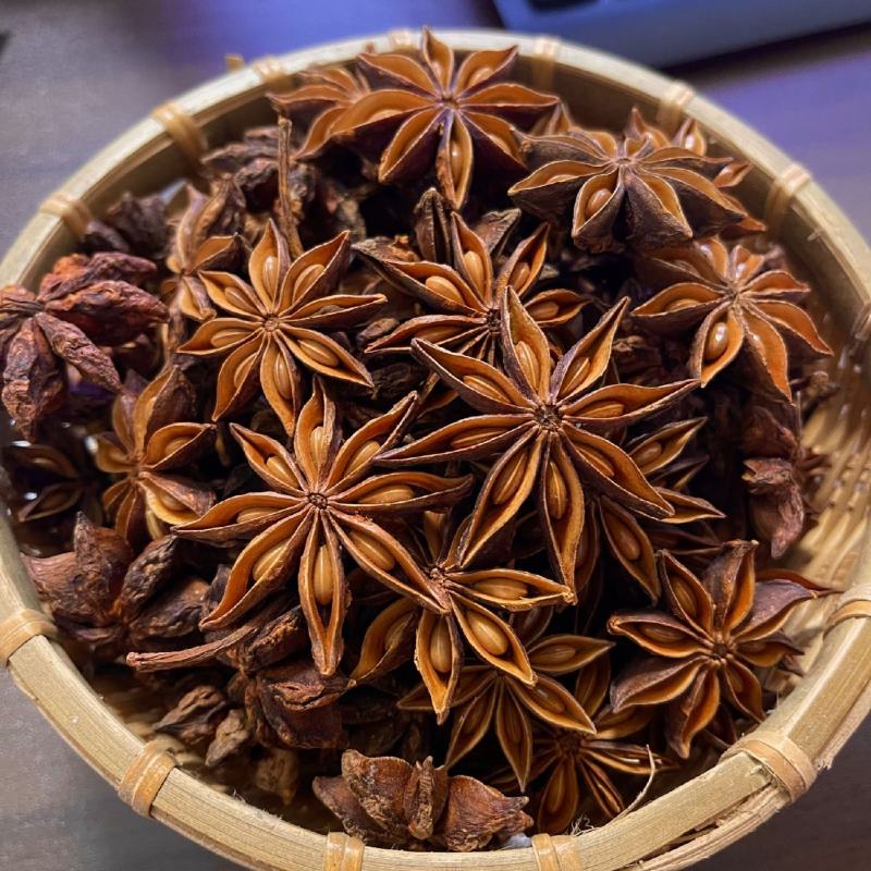 八角苗，大红八角苗，嫁接苗，实生苗，营养杯