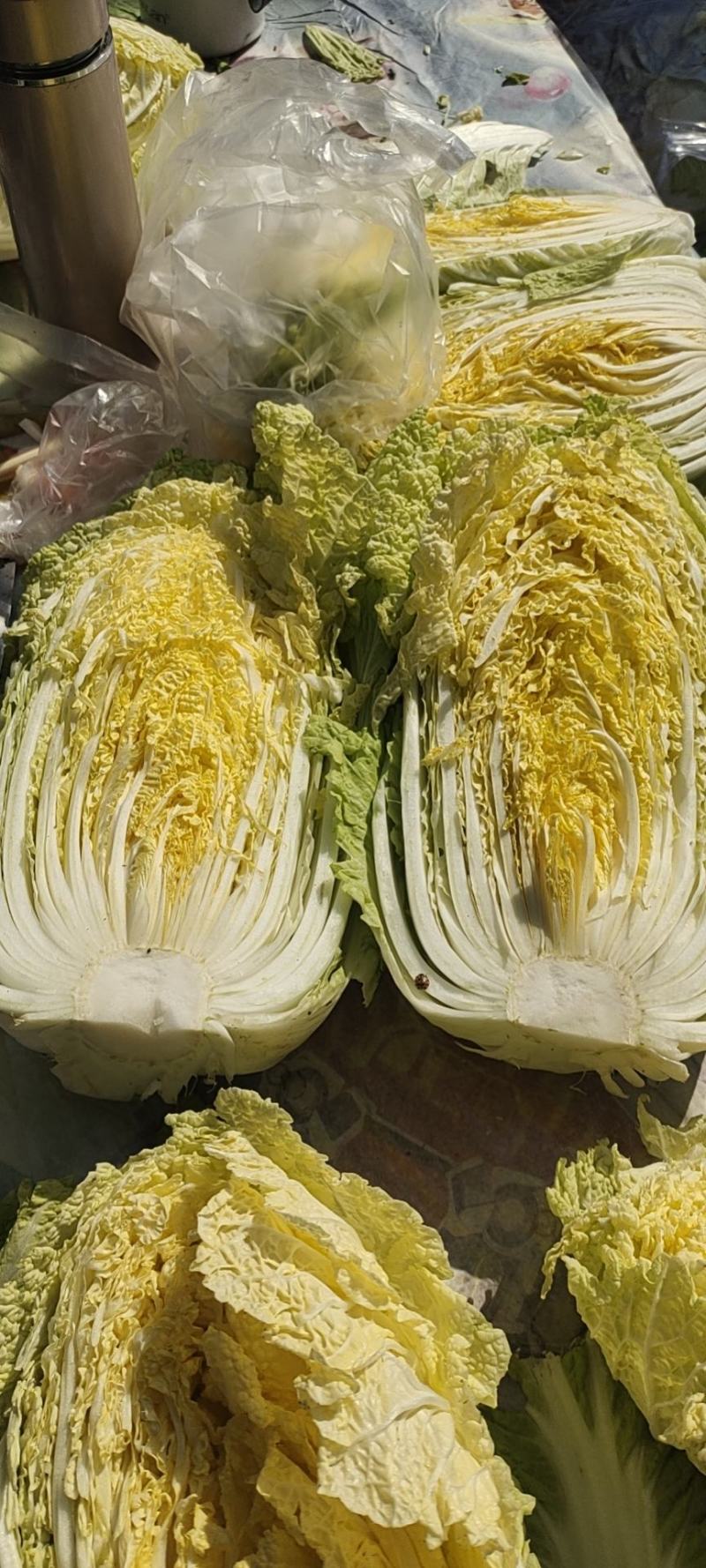 【白菜】黄心大白菜净菜3-5斤一手货源发往各大市场