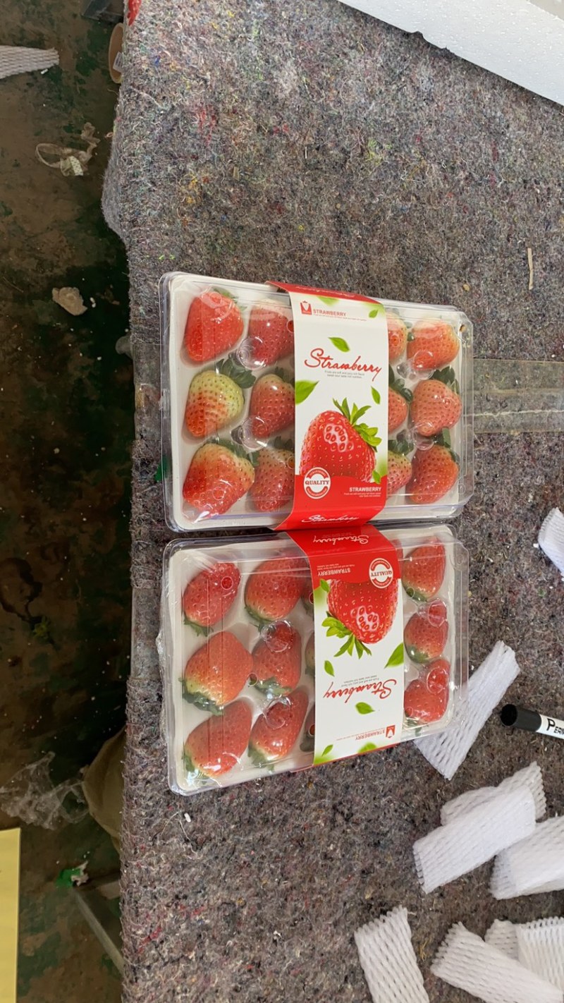 奶油草莓/江苏草莓对接电商/档口/商超/物美价廉，香甜