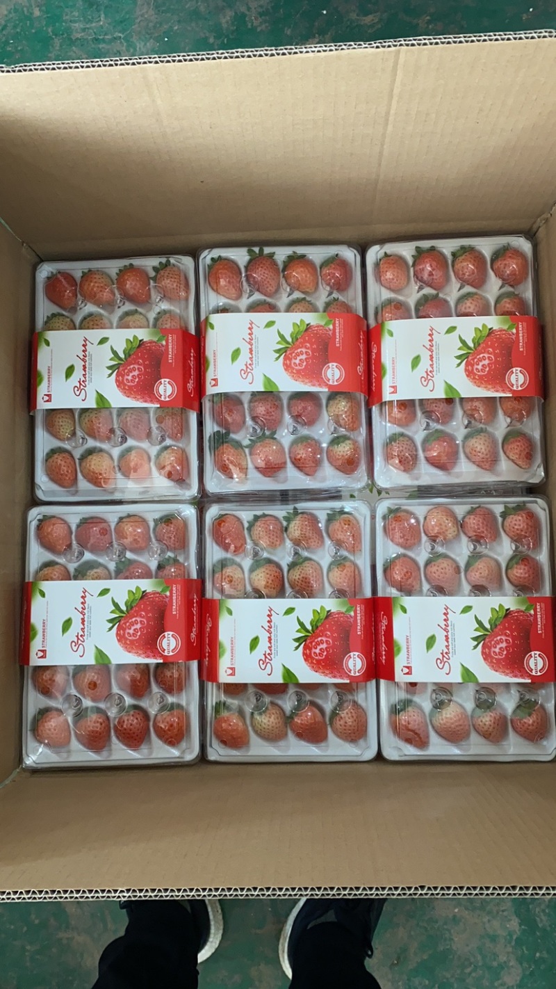 奶油草莓/江苏草莓对接电商/档口/商超/物美价廉，香甜