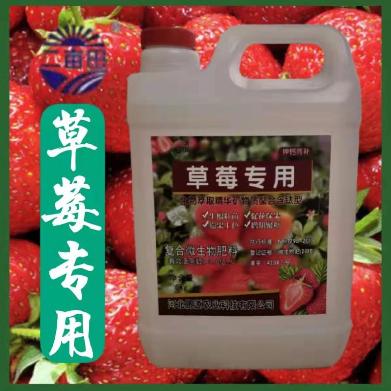 草莓专用生根养根促花保果膨果上色增甜聚糖