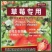 草莓专用生根养根促花保果膨果上色增甜聚糖