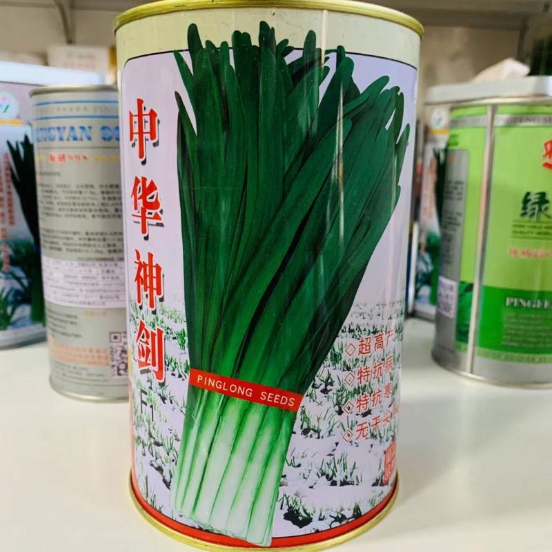 平龙中华神剑韭菜种子特抗寒抗病高产无干尖不休眠韭菜种籽