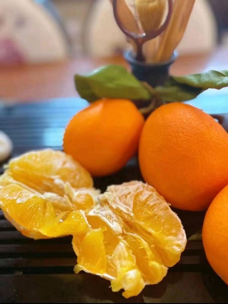 宜昌秭归脐橙产地直供看货论价保质保量欢迎订购