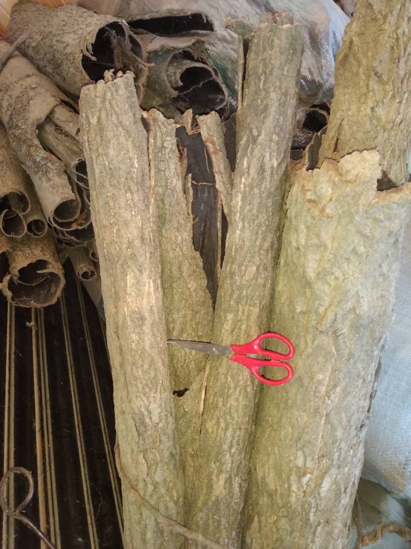 贵州铜仁树皮类中药材无硫老树杜仲皮干货多种规格产地直发
