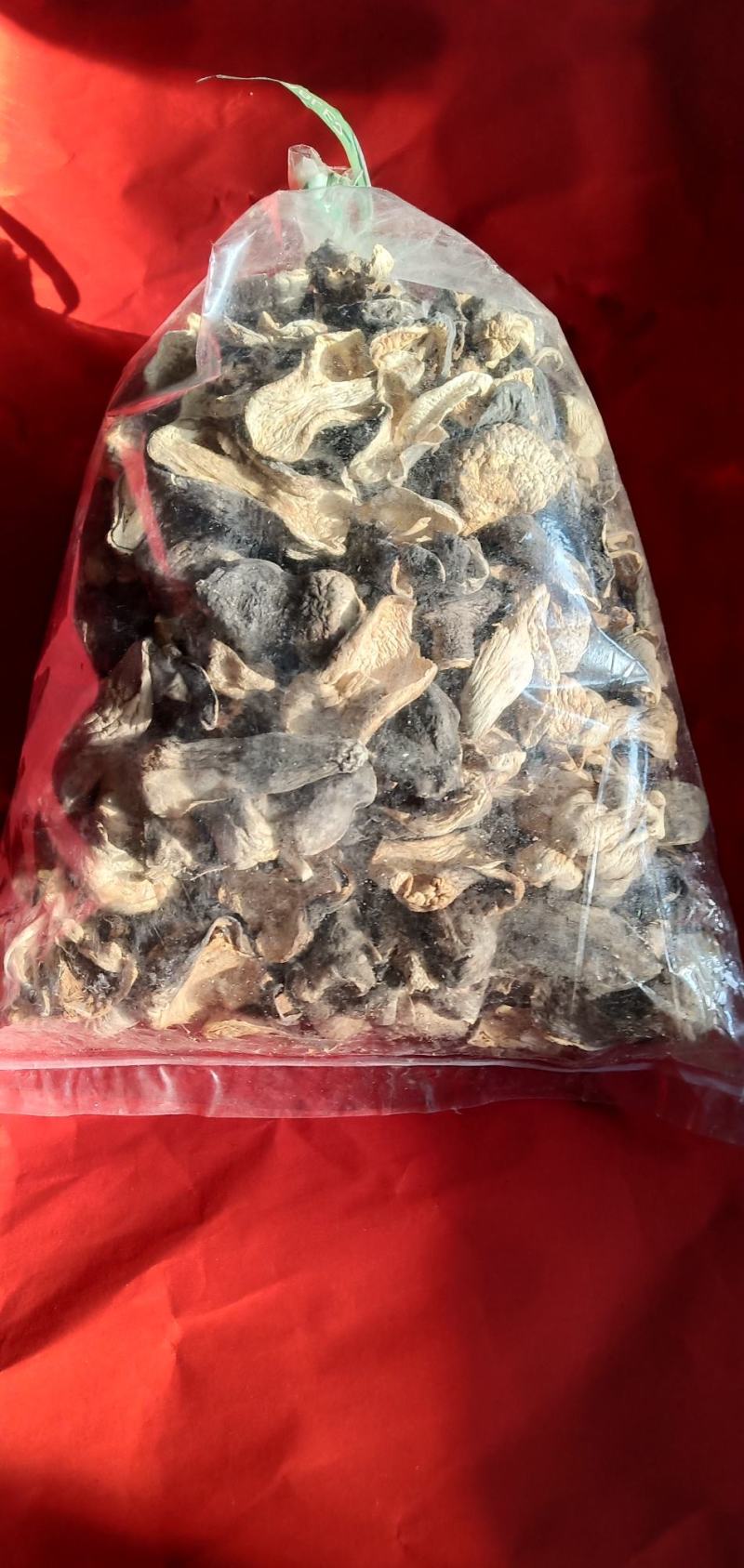 自种的草菇