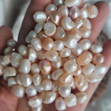 珍珠颗粒均匀色泽好规格齐全一公斤起包邮