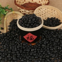 绿芯大黑豆供应批发青仁乌黑豆农家绿心大黑豆五谷杂粮