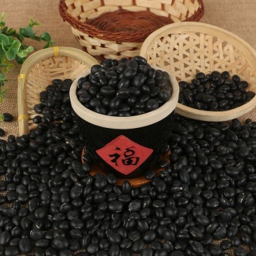 绿芯大黑豆供应批发青仁乌黑豆农家绿心大黑豆五谷杂粮