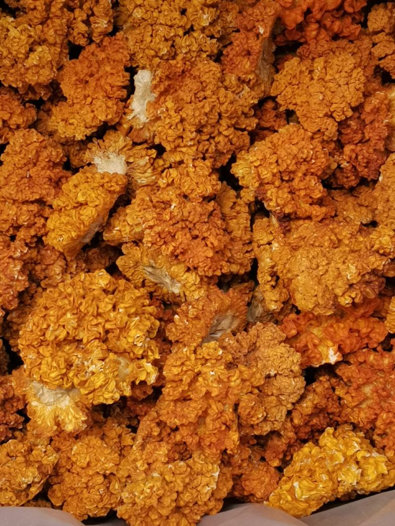 金耳菌，黄耳，脑耳含有丰富的胶原蛋白，煮粥，煲糖水都可