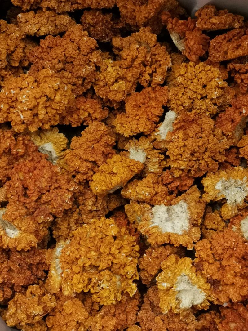 金耳菌，黄耳，脑耳含有丰富的胶原蛋白，煮粥，煲糖水都可