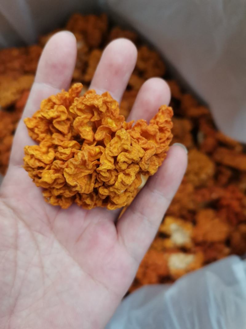 金耳菌，黄耳，脑耳含有丰富的胶原蛋白，煮粥，煲糖水都可