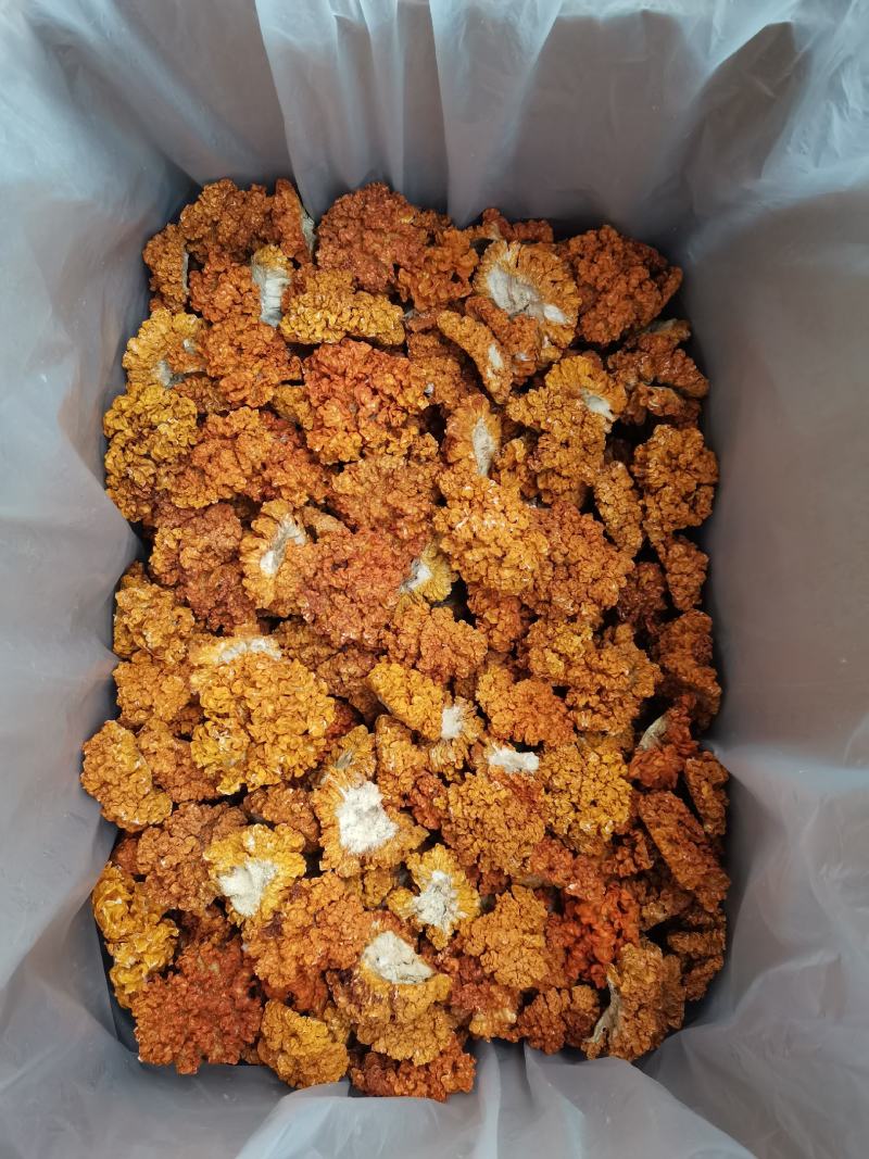 金耳菌，黄耳，脑耳含有丰富的胶原蛋白，煮粥，煲糖水都可