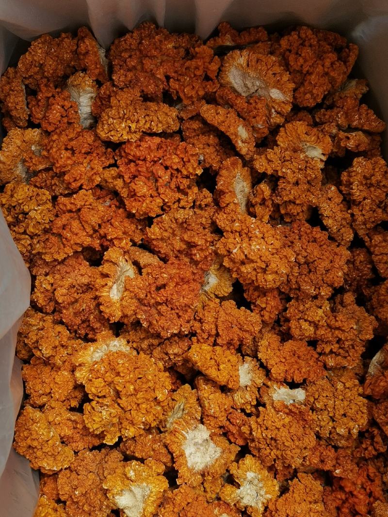 金耳菌，黄耳，脑耳含有丰富的胶原蛋白，煮粥，煲糖水都可