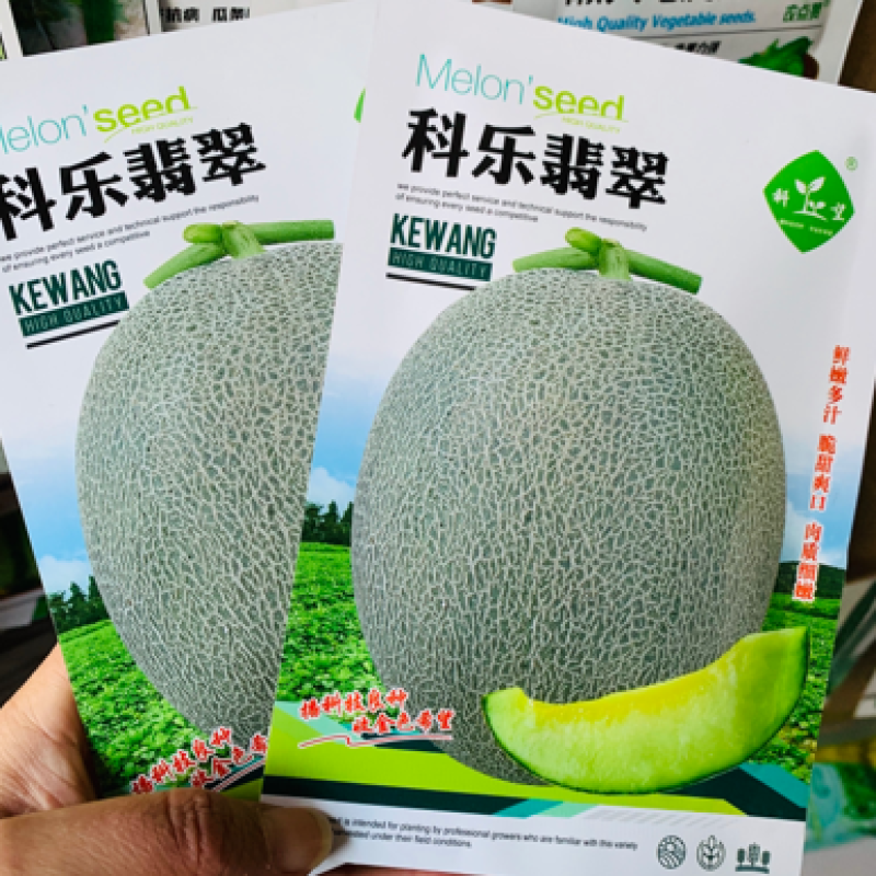 糖度18%科乐翡翠杂交甜瓜种子网纹绿肉翡翠蜜甜瓜种子