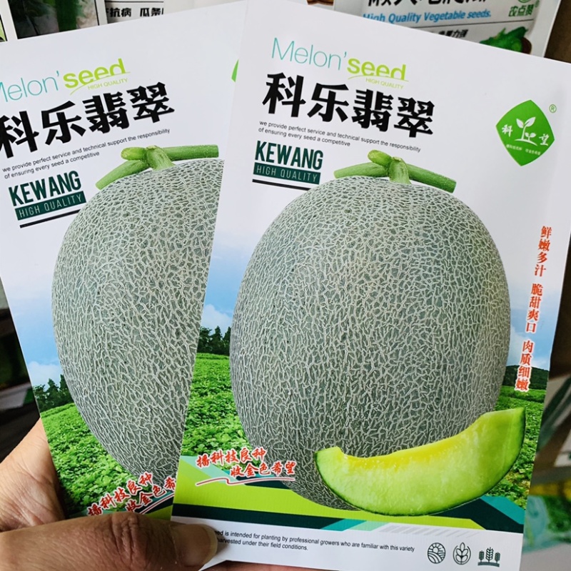 糖度18%科乐翡翠杂交甜瓜种子网纹绿肉翡翠蜜甜瓜种子