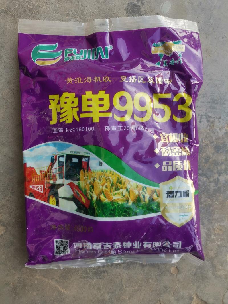 豫单9953新型大豆玉米间作技术的再创玉