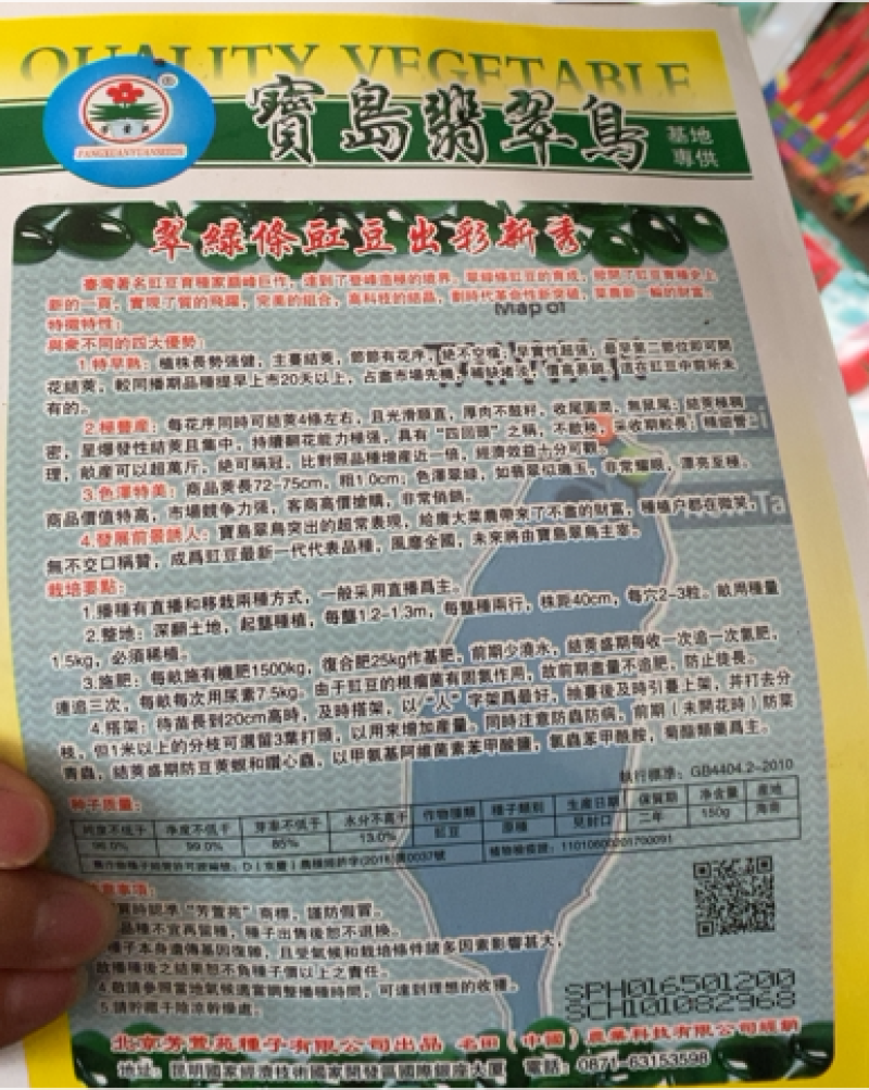 豆角种子翠绿色豇豆种