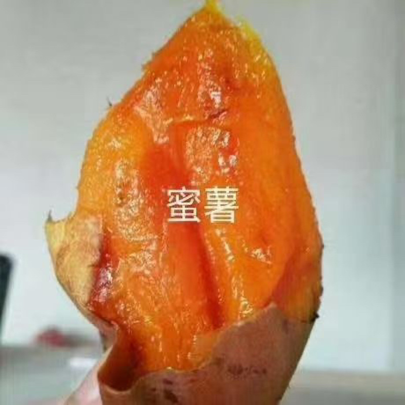 正宗烟薯烤块，紫皮红心支持各种规格，软糯。