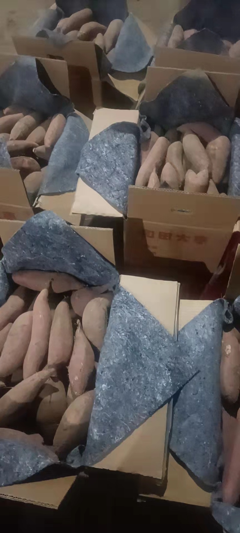 正宗烟薯烤块，紫皮红心支持各种规格，软糯。