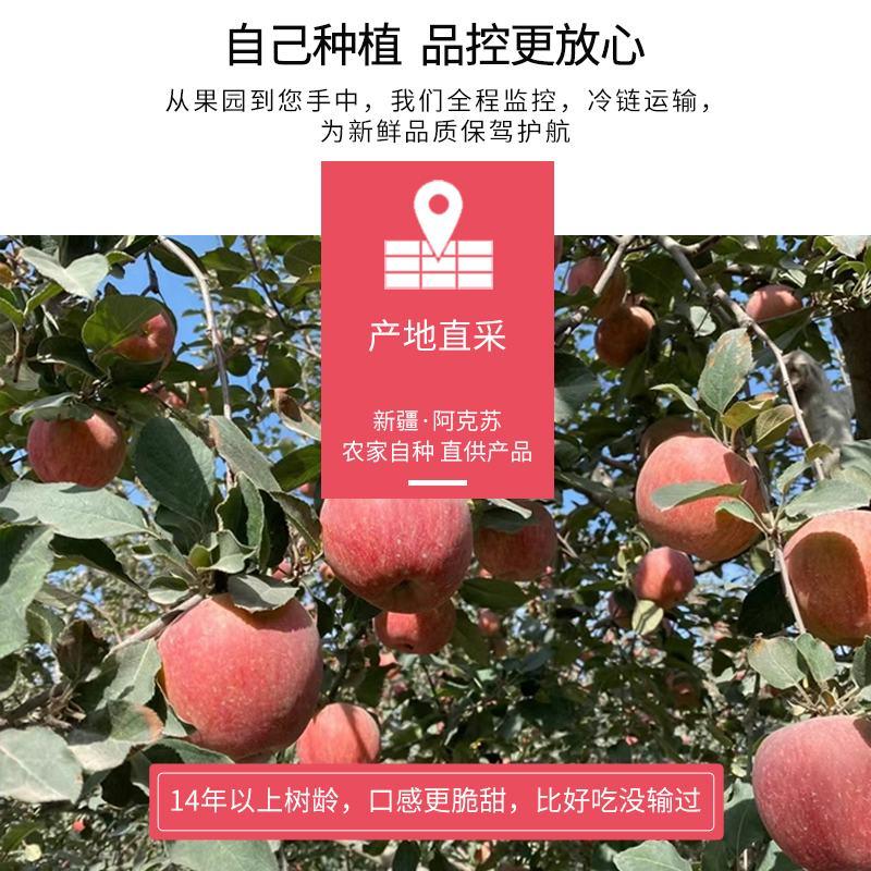 正宗新疆阿克苏冰糖心苹果红富士甜度高精品原产地直发代发