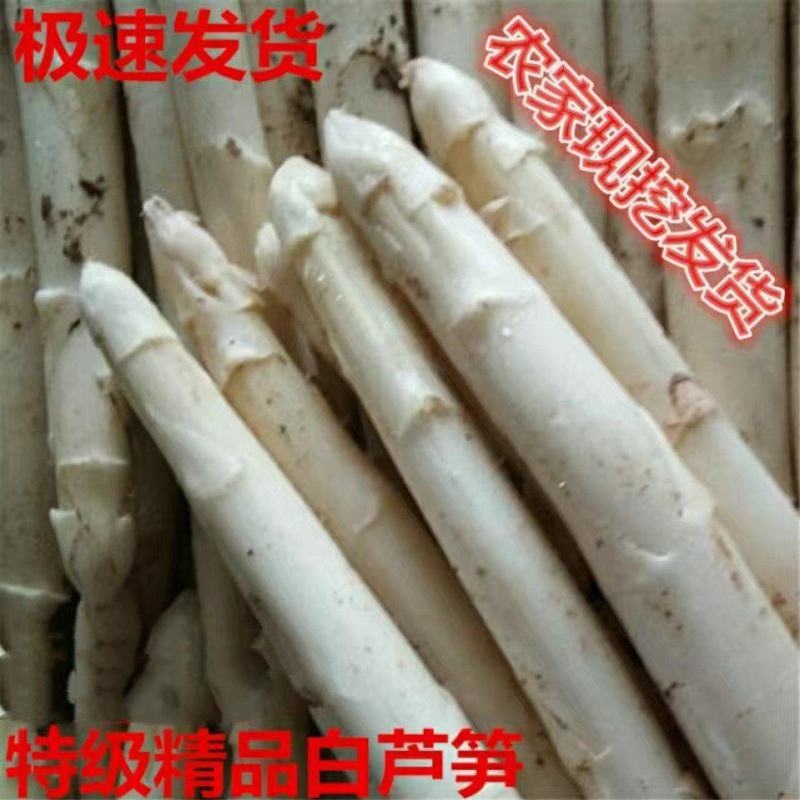 芦笋白芦笋一级白芦笋条形直一件代发包邮精选