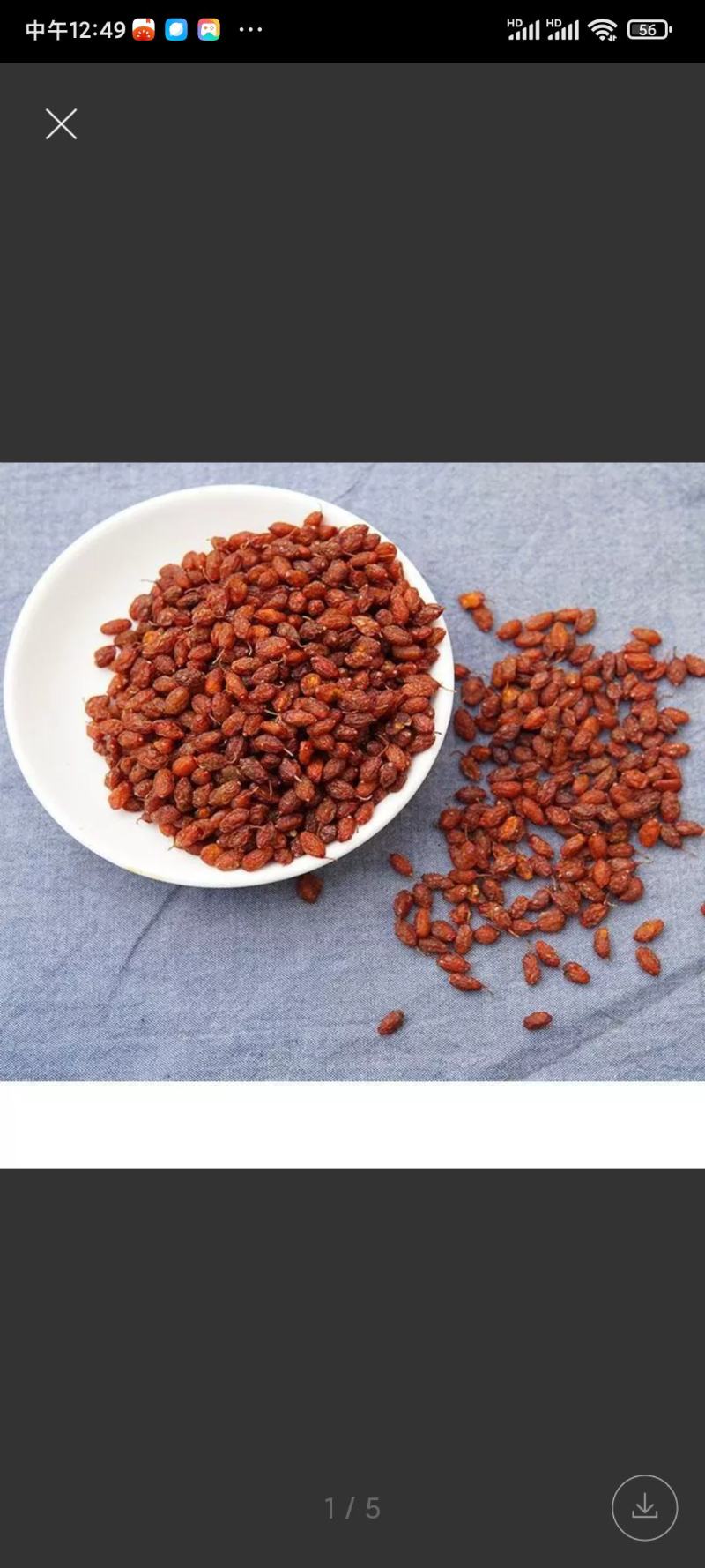 沙棘果沙棘干货各种质量批发零售大量有货