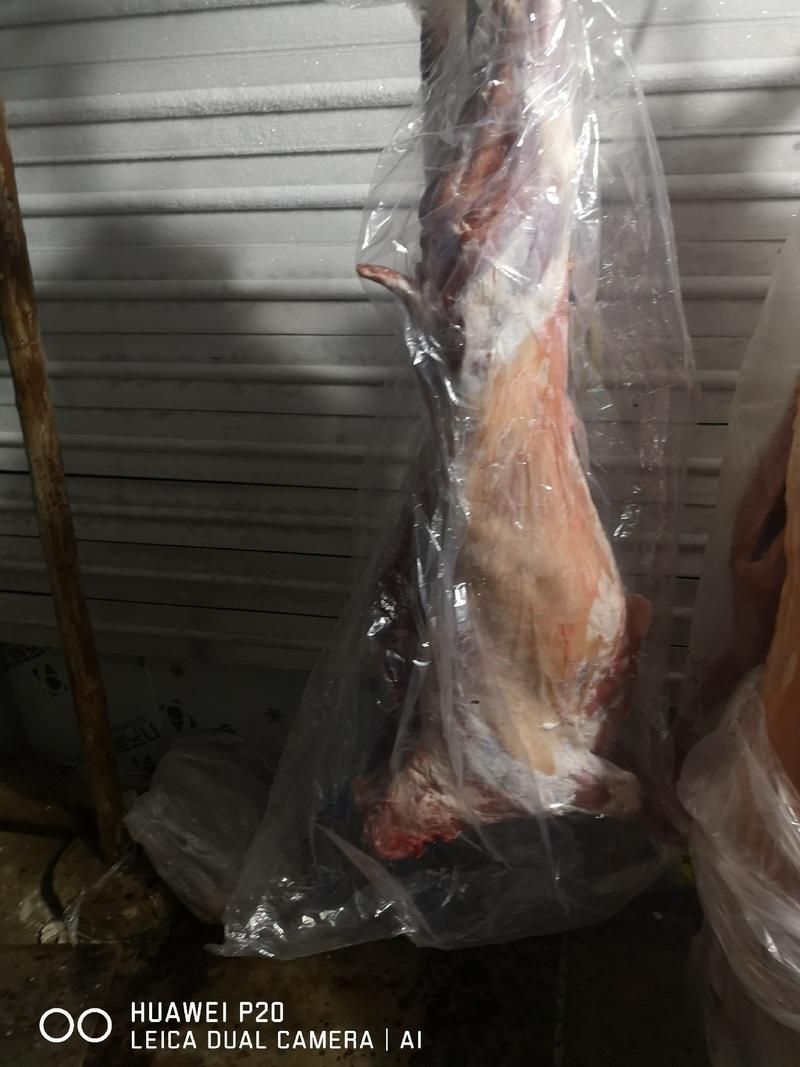 【包邮】内蒙古厂家直发烤全羊（10-23）斤
