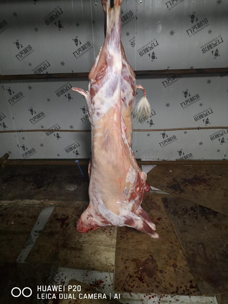 【包邮】内蒙古厂家直发烤全羊（10-23）斤