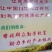 水果胡萝卜，水晶透明，清甜可口，可以生吃的胡萝卜