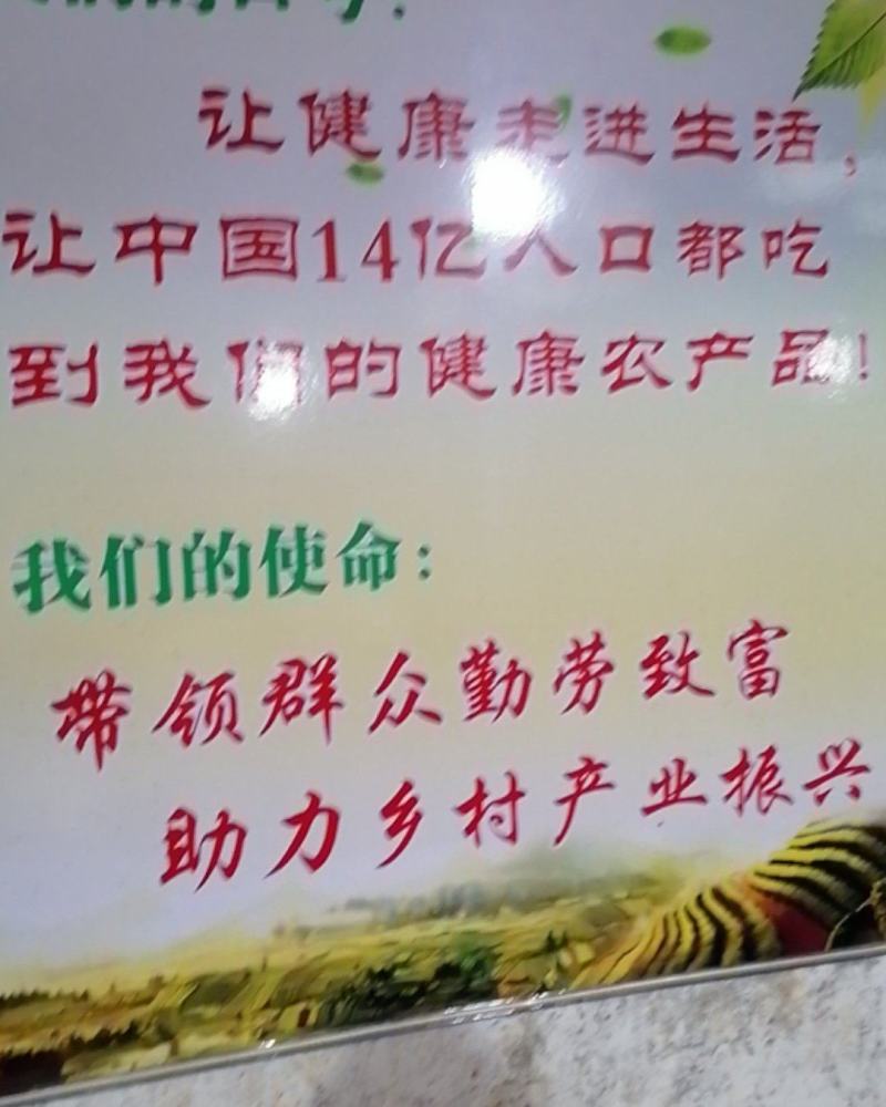 水果胡萝卜，水晶透明，清甜可口，可以生吃的胡萝卜