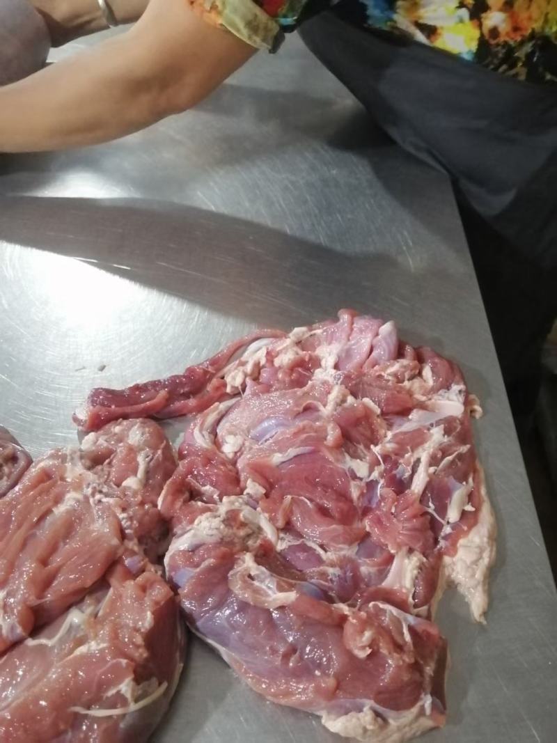 羊副产品羔羊腿肉，基本没有水，不调理，