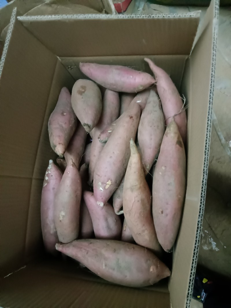 软糯香甜的3至7两烟薯25，供电商超市烤店，全年有货