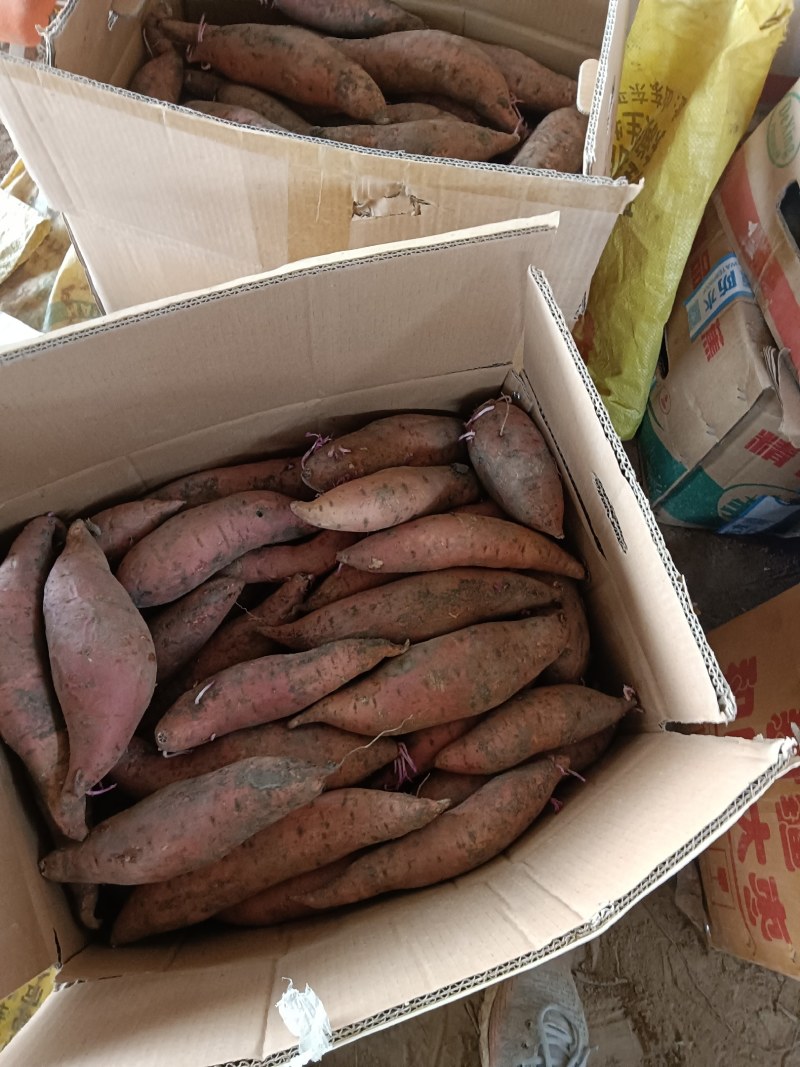 软糯香甜的3至7两烟薯25，供电商超市烤店，全年有货