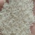 象牙米桂林市厂家直销，砂锅饭煲仔饭专用米