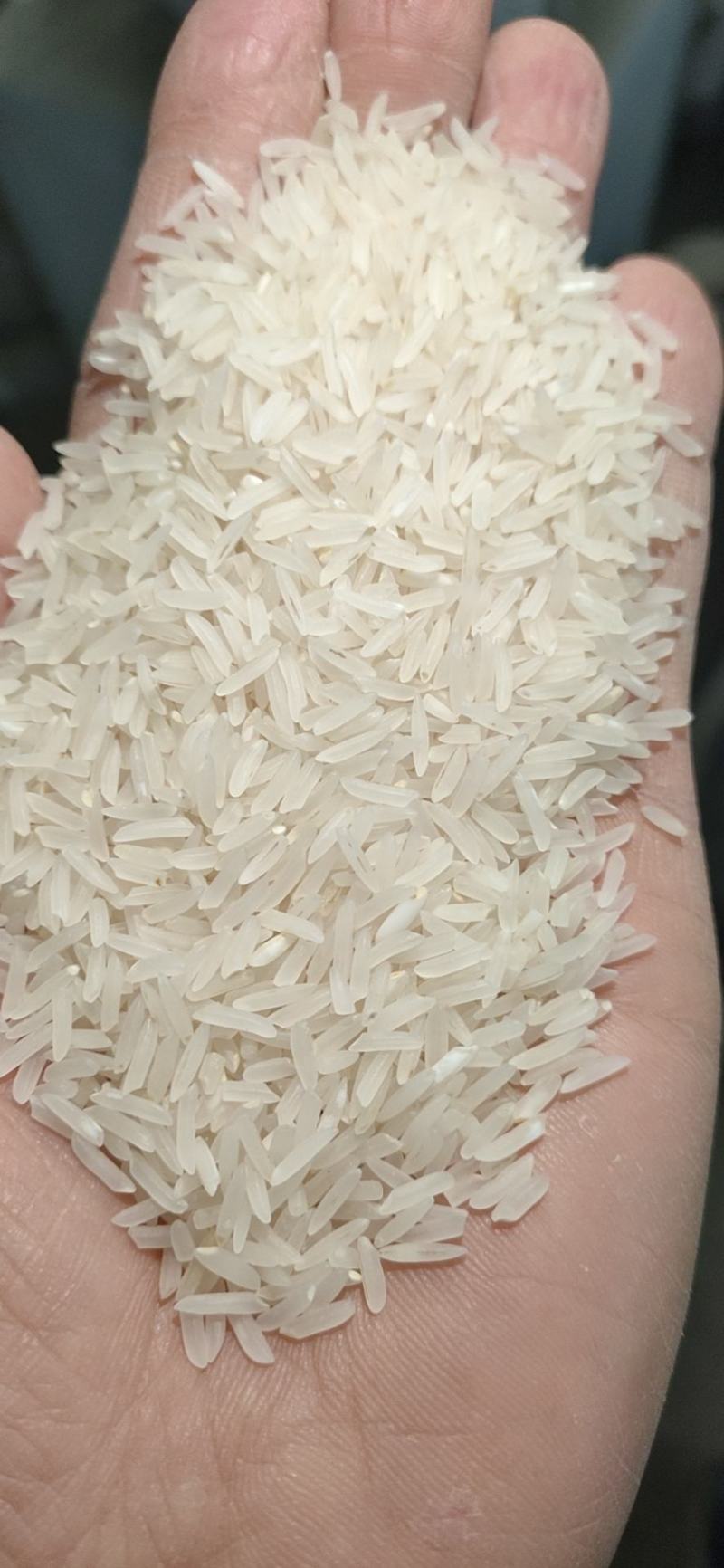 象牙米桂林市厂家直销，砂锅饭煲仔饭专用米