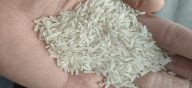 象牙米桂林市厂家直销，砂锅饭煲仔饭专用米
