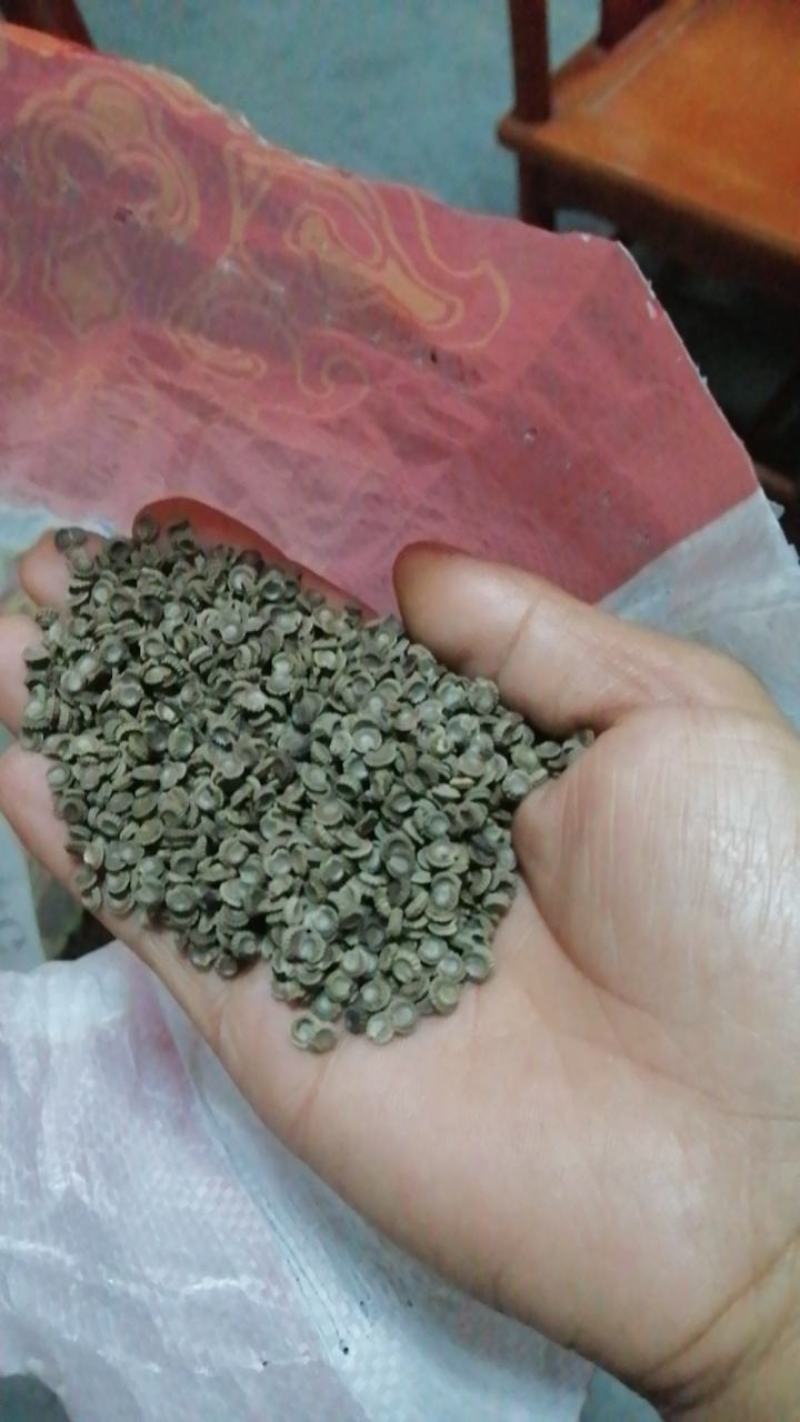 精品粉防己杯苗，专育赣南特色药材苗，基地己有大量的种苗市