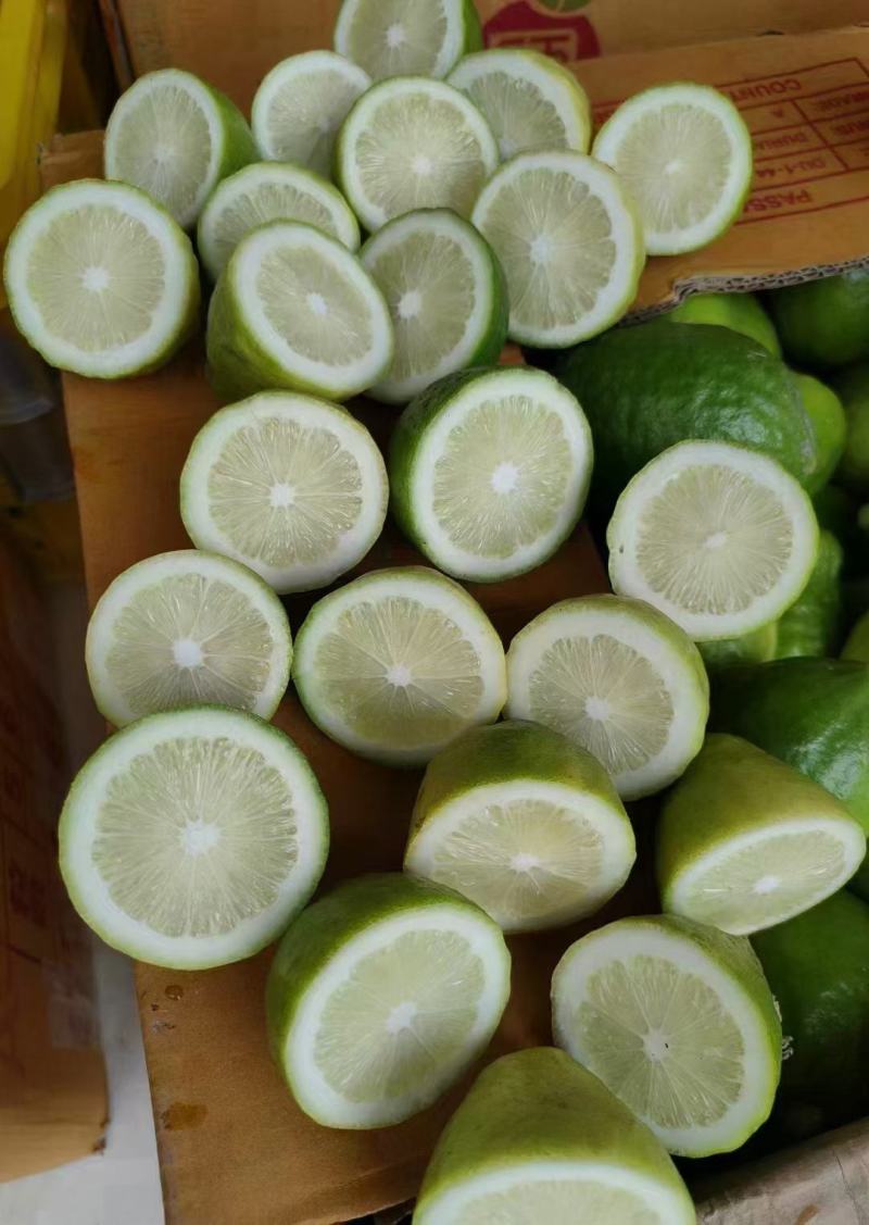 广东香水柠檬嫁接苗无籽四季当年结果无籽青柠包邮